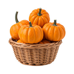 Obraz premium Small Woven Basket Filled with Orange Pumpkins Isolated on White Background