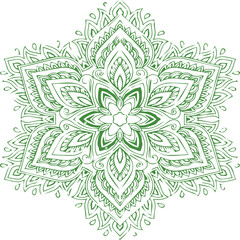 Beautiful flower art and mandala vector design