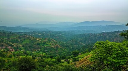 Fototapeta premium Serene Mountain Vista: A Panoramic View of Lush Green Hills
