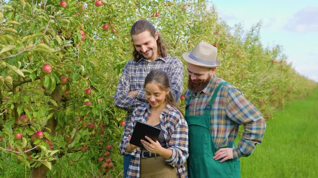 Front view 3 young people family farmers garden apples inspect trees fruits girl touch leaves hand.