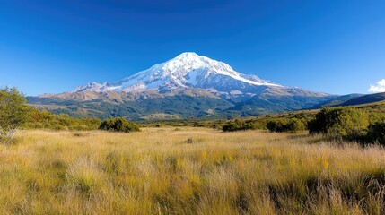 Majestic snow-capped mountain under a clear blue sky, overlooking a vast grassland. Ideal for travel brochures