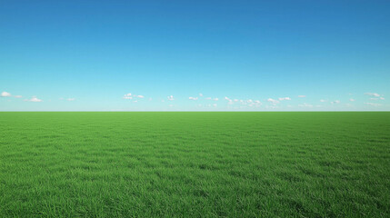 Fototapeta premium Wide Green Field Under Clear Blue Sky