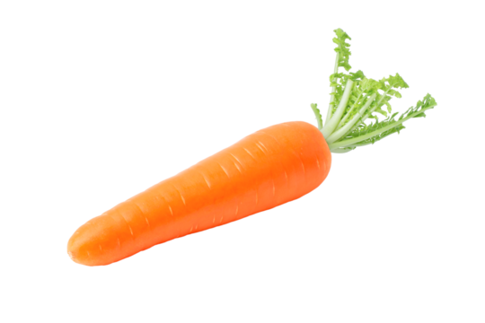 carrot isolated on white background