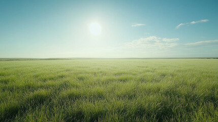 Obraz premium Wide Green Field Under Clear Blue Sky
