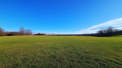 Fototapeta premium Wide Green Field Under Clear Blue Sky