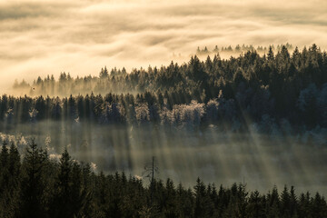 Blick auf die Nebelgrenze bei Inversion im Schwarzwald
