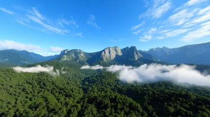 Mountain Landscape with Lush Forest