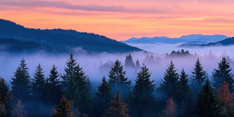 Obraz premium Twilight misty forest scene enchanted landscape atmospheric aesthetics midlevel perspective nature