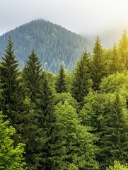 Serene Mountain Landscape with Green Trees for Nature and Travel Backgrounds