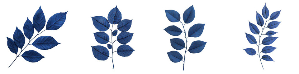 Obraz premium Minimal Botanical Leaf Branches in Various Shades of Blue and Green on a Natural Organic Background with Clean Simple and Design