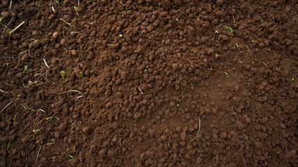 Fertile soil texture background seen from above, top view,gardening or planting concept with copy space