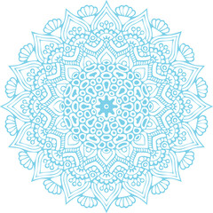 Beautiful flower art and mandala vector design