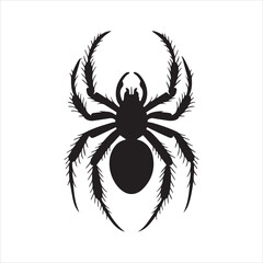 A black silhouette of a spider in the center of the image.