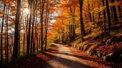 Fototapeta premium Picturesque winding trail leading through a lush vibrant autumn forest landscape with colorful foliage and serene natural scenery