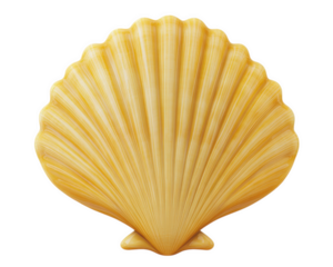 vibrant yellow shell with intricate ridges, perfect for decorative use or as natural element in design. This shell adds touch of coastal charm to any setting