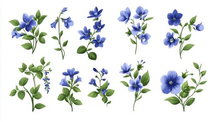 Botanical Illustrations of Blue Flowers with Leaves and Stems