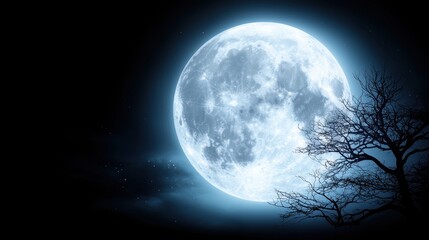Fototapeta premium A full moon with a tree in the foreground