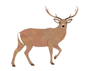 エゾシカの手書きイラスト
