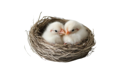 A cozy bird nest with eggs isolated on a white background, decorated with straw, grass, and a touch of gold for a spring holiday celebration