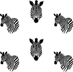 Zebra silhouettes in nature wildlife art scenic environment evening light, isolate white background
