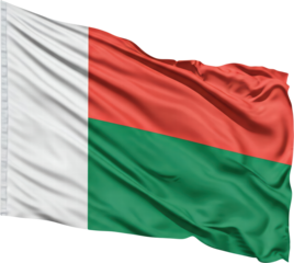 Waving flag of Madagascar, national symbol