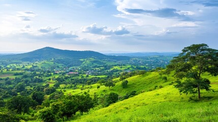 Serene Hillside Landscape