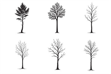 36 Eucalyptus Tree Silhouette Bundle