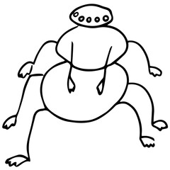 A spider with eight legs and many eyes stands and looks at the camera