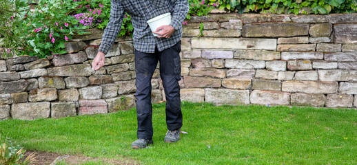 view of one Man, farmer is fertilizing the lawn soil. male hand of worker, Fertilizer For Lawns in springtime for the perfect lawn. Organic lawn fertilizer in man's hand on garden background
