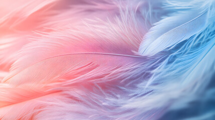 Obraz premium Soft Colorful Feather Close-Up in Pastel Shades