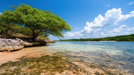 Tranquil Tropical Shore