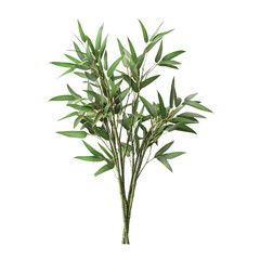 Obraz premium Lush Green Bamboo Plant Abstract Background,