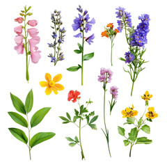 Vibrant Wildflowers Abstract Floral Design Colorful Garden Art,