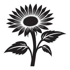 Fototapeta premium Vibrant Common Sunflower Plant Clipart for Nature Designs 