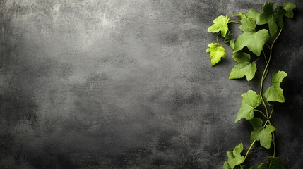 Chalkboard to Digital Screen Transformation, Vines Symbolizing Growth, Blending Tradition with Innovation in Education, Artistic Vision