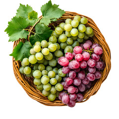 Fresh Green Red Grapes Basket Summer Harvest Vine Fruit food wine ripe life leaf farm sweet juicy   
