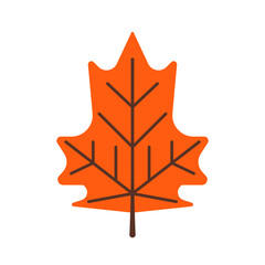 Illustration of an autumn leaf in a simple style