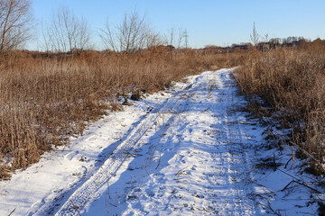 Snowy dirt road with tire tracks surrounded by dry winter vegetation under a clear blue sky. Rural landscape showcasing seasonal textures. Nature and environmental concept for design and print