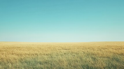 Minimalist grassland under a pale blue sky, large empty space for text