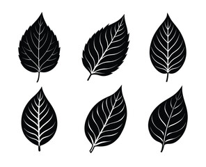 Obraz premium Classic Black and White Leaf Graphics Perfect for Nature-Themed Design Projects