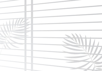 A shadow of a branch of tree behind window against white background. Can be used for a product display. EPS 10
