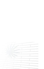 A shadow of palm tree behind iron grill or window against white background. Can be used for a product display. EPS 10