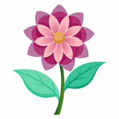 Flower white background