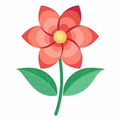 Flower white background