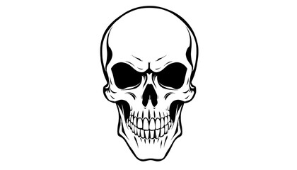 Obraz premium Skull Png Format With Transparent Background, with white tones