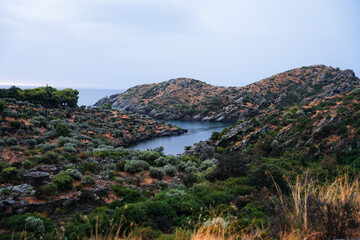 Playa de costa con plantas y rocas