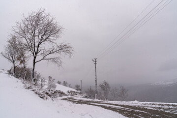 Embrace the Winter Journey: A Snowy Mountain Road
