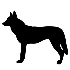 dog wolf standing black silhouette vector