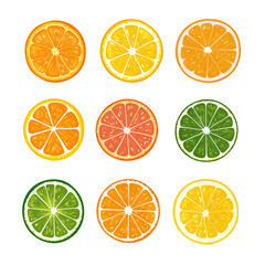 Obraz premium Colorful Citrus Fruit Slices in Pastel Clipart Style for Design