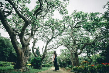 南国の庭園と女性